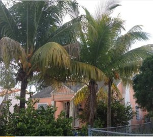 neary house 84 nw 48 st front